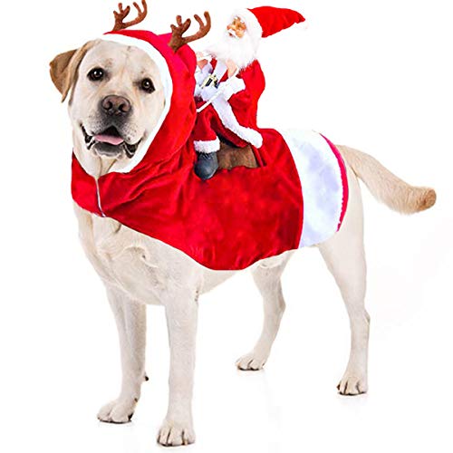 SantaPaws Costume